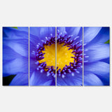 Blue Lotus Close up Watercolor Multi-Panels