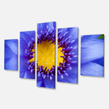 Blue Lotus Close up Watercolor Multi-Panels