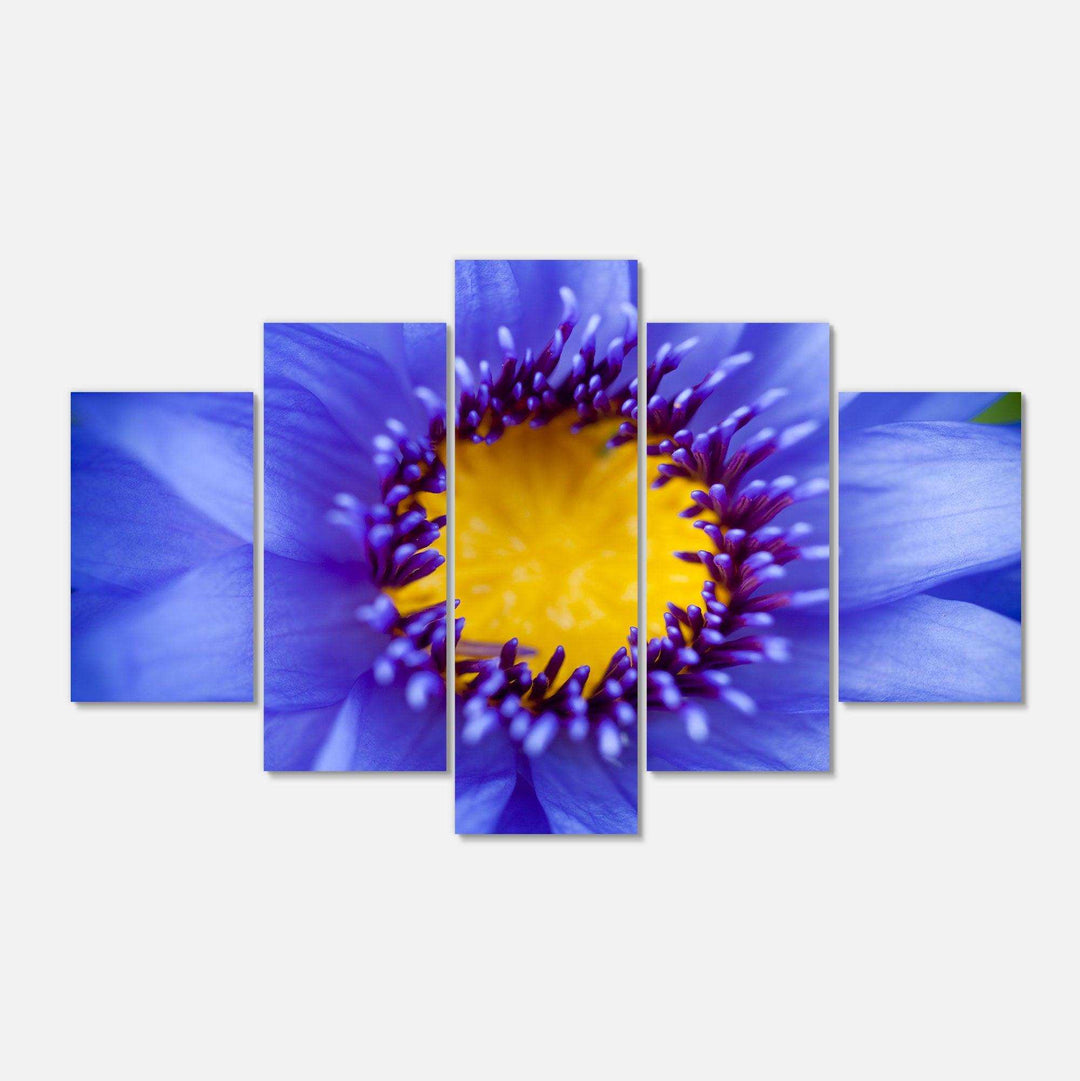 Blue Lotus Close up Watercolor Multi-Panels
