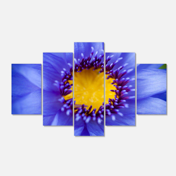Blue Lotus Close up Watercolor Multi-Panels