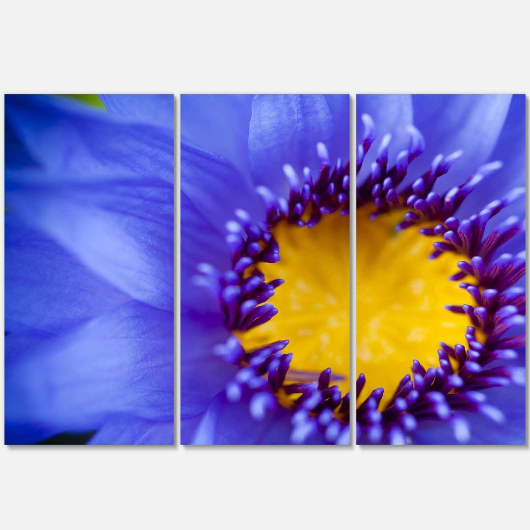 Blue Lotus Close up Watercolor Multi-Panels