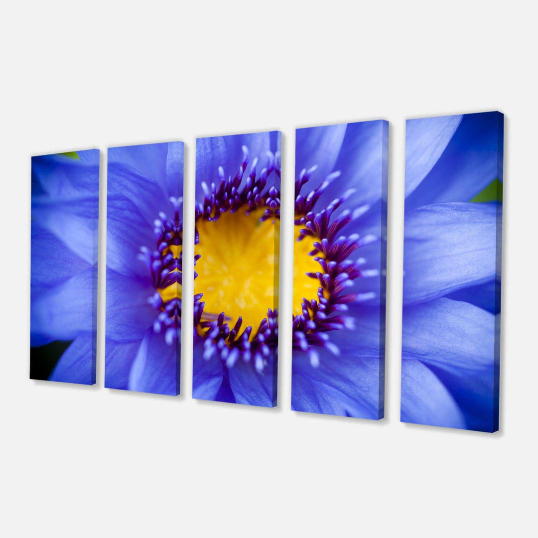 Blue Lotus Close up Watercolor Multi-Panels