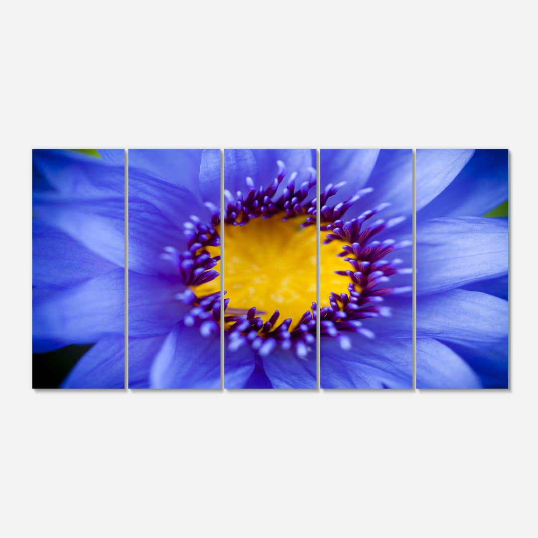 Blue Lotus Close up Watercolor Multi-Panels
