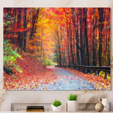 Road in Beautiful Autumn Forest