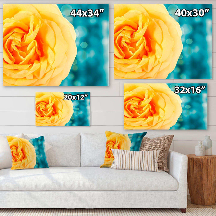 Rose Flower with Lit up Background
