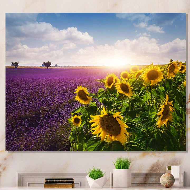Lavender and Sunflower Fields