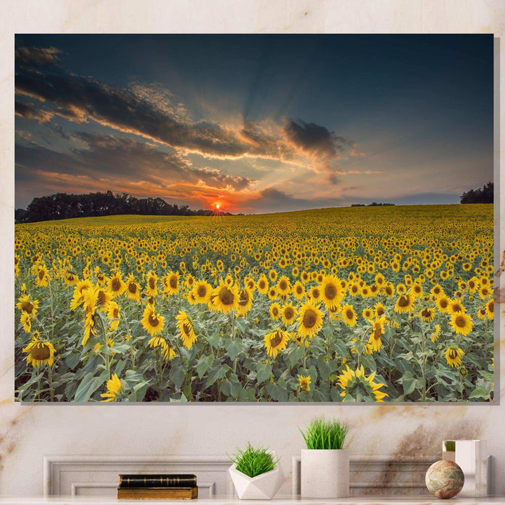 Sunflower Sunset with Cloudy Sky