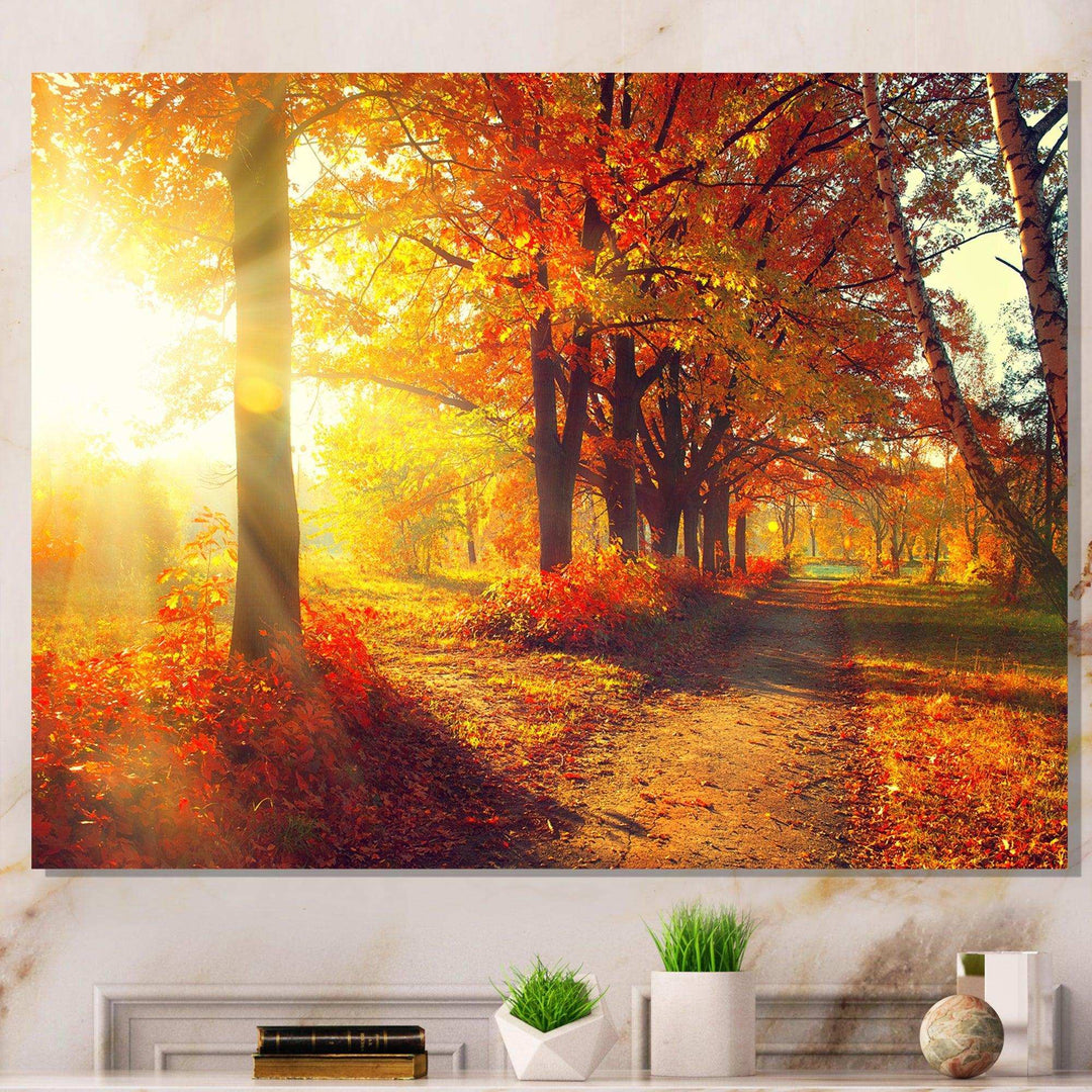 Autumnal Trees in Sunrays