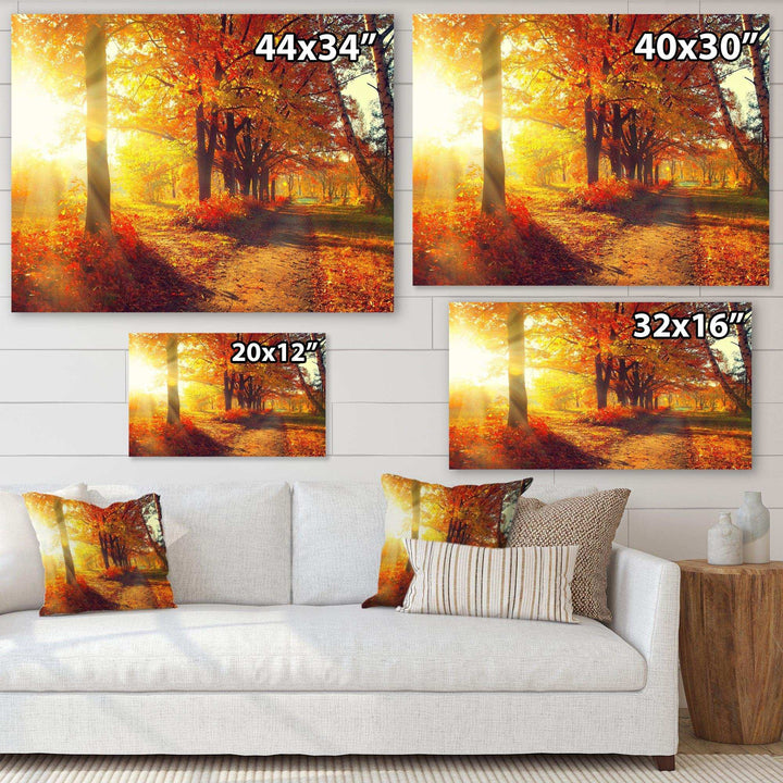 Autumnal Trees in Sunrays
