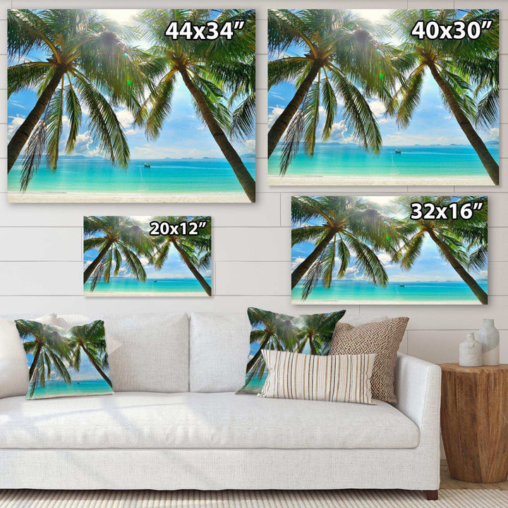 Palm Hanging over Sandy White Beach