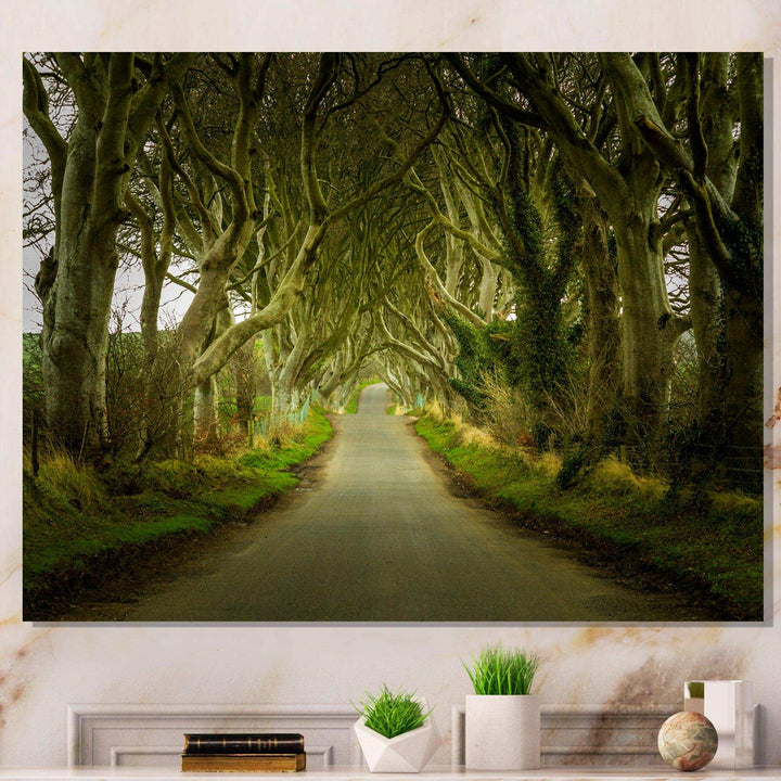 Dark Hedges Road through Old Trees
