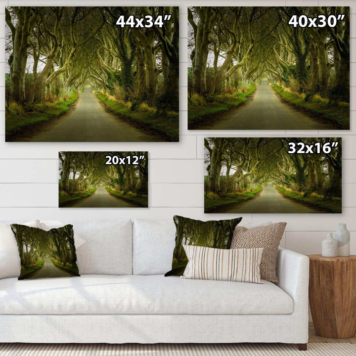 Dark Hedges Road through Old Trees