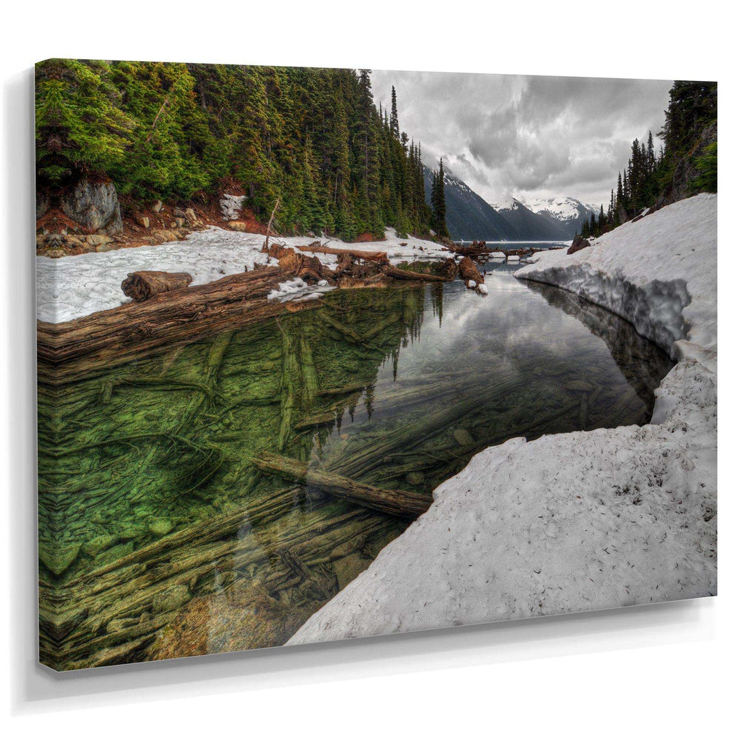 Crystal Clear Lake with Pine Trees