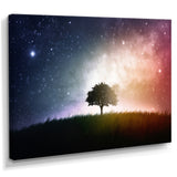 Single Tree Space Background
