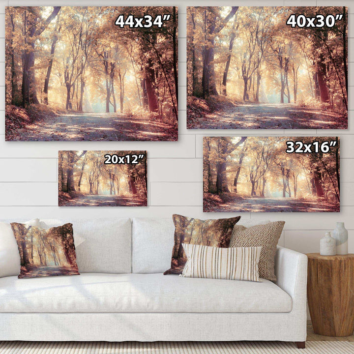 Golden Autumn Beautiful Forest
