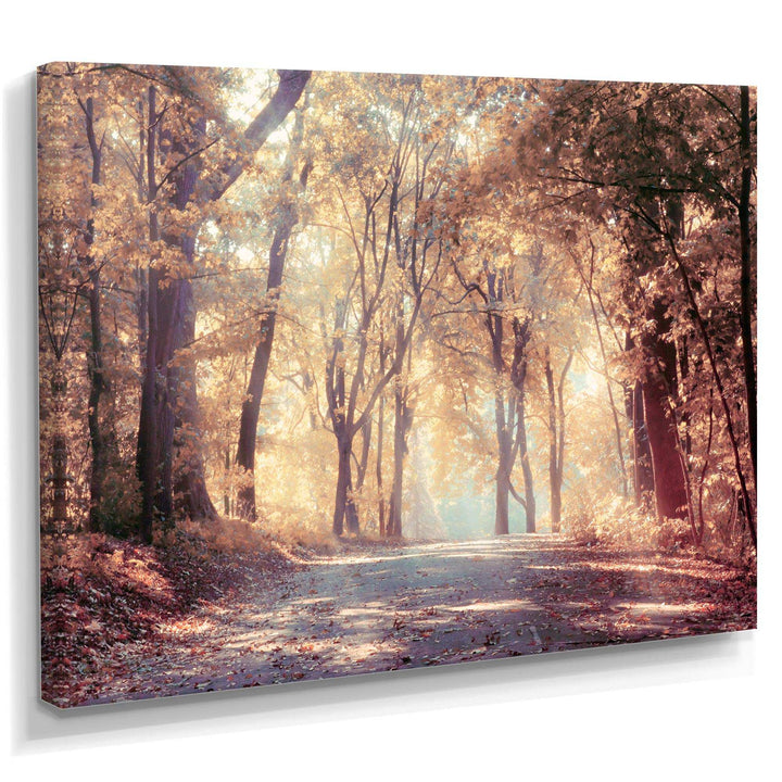 Golden Autumn Beautiful Forest