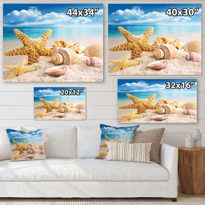 Starfish and Seashells on Beach