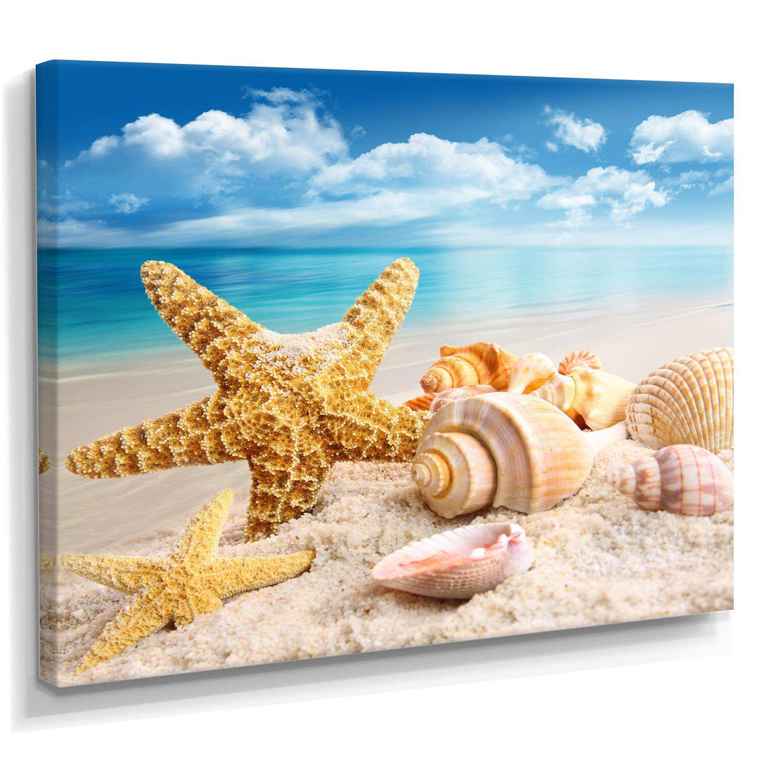 Starfish and Seashells on Beach