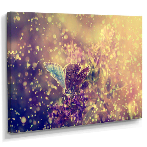 Blue Butterfly And Purple Flowers