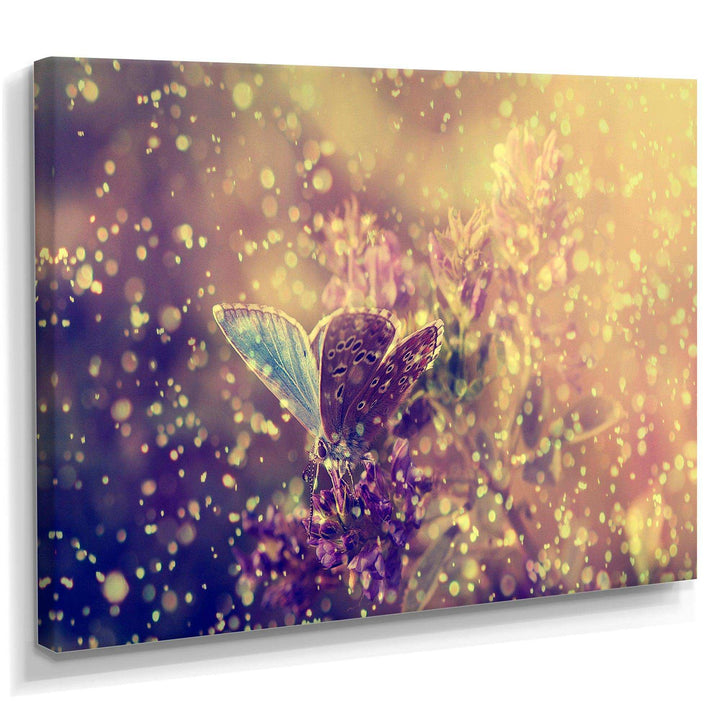 Blue Butterfly And Purple Flowers