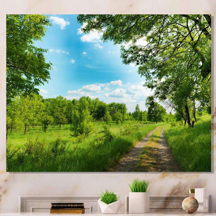 Green Forest Road and Blue Sky