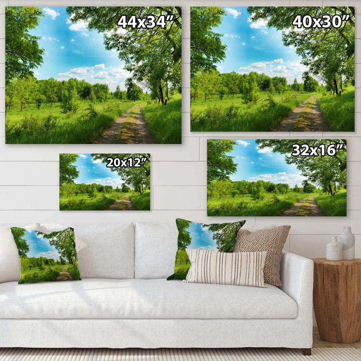 Green Forest Road and Blue Sky