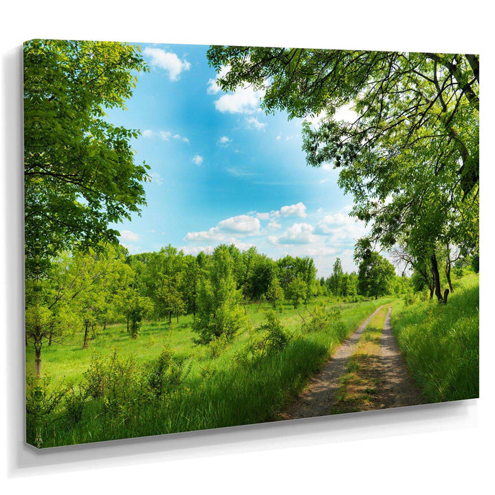Green Forest Road and Blue Sky