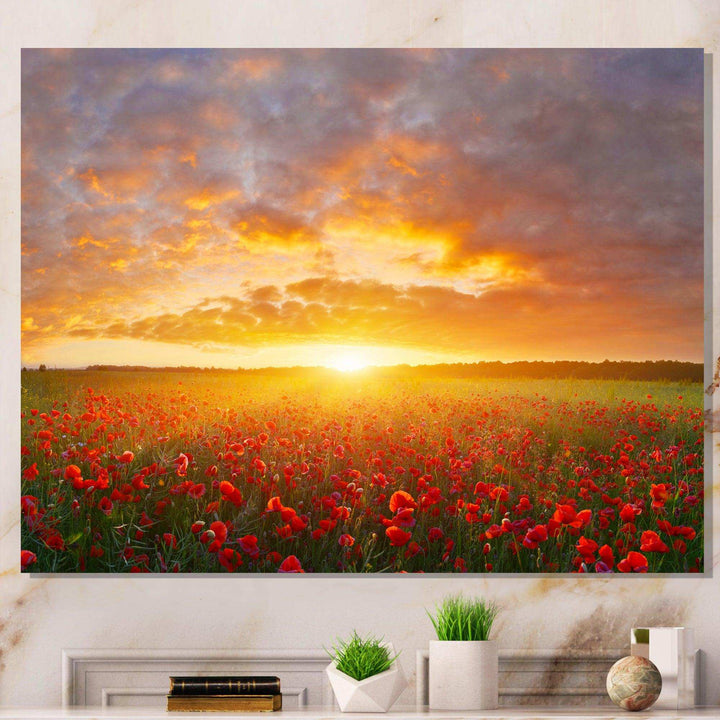 Poppy Field under Bright Sunset