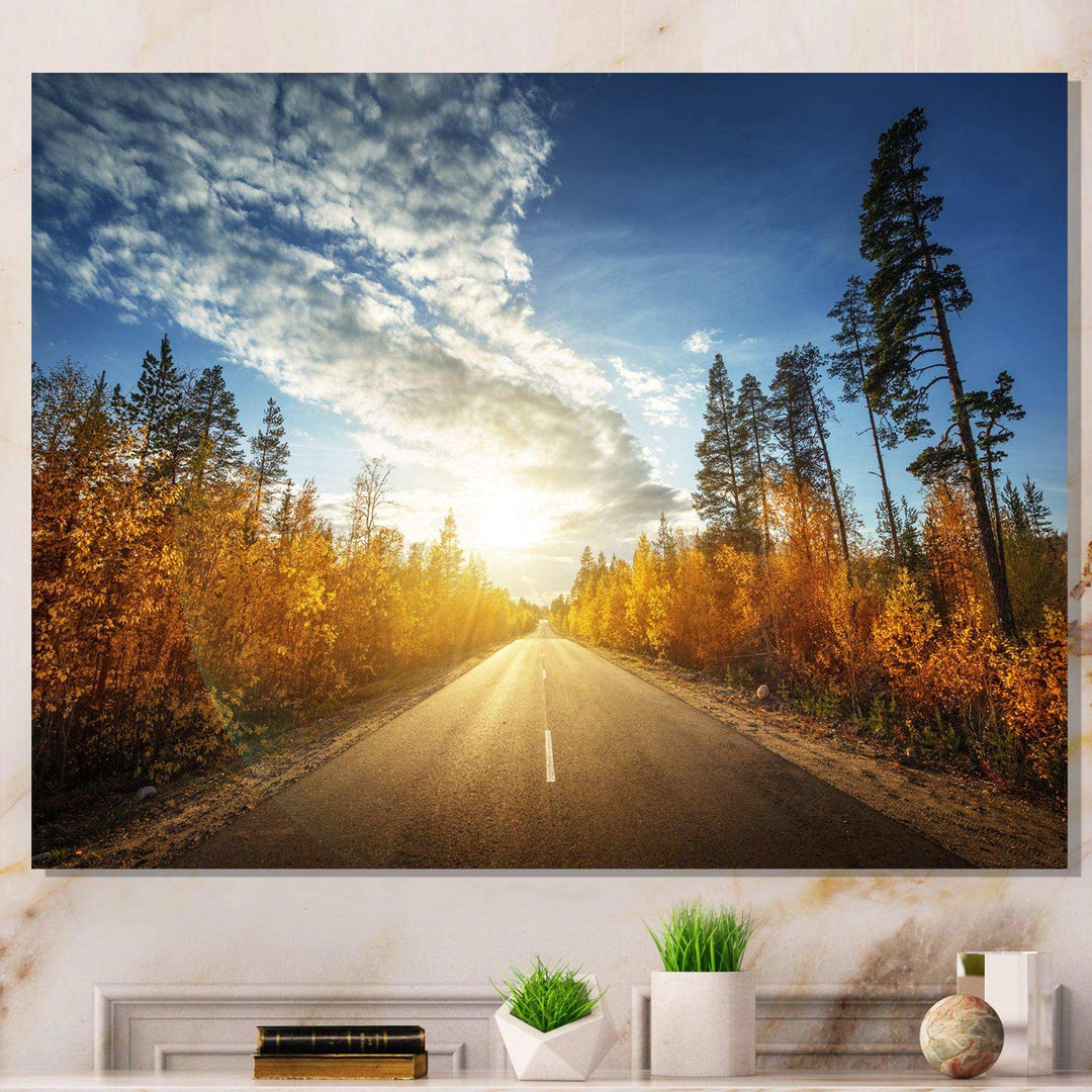 Road in Fall Forest Panorama