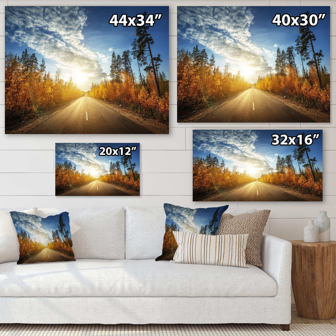 Road in Fall Forest Panorama