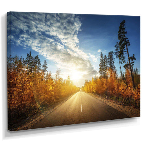 Road in Fall Forest Panorama