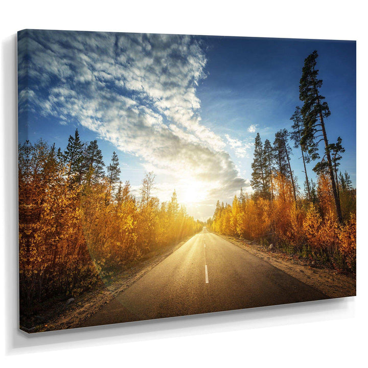 Road in Fall Forest Panorama