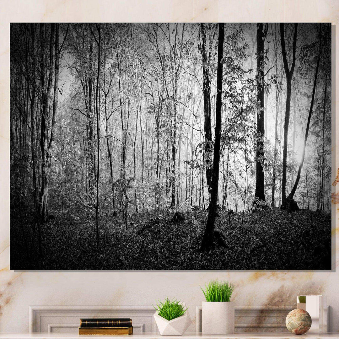 Beautiful Forest Morning Panorama