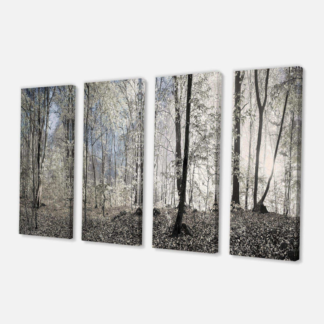 Dark Morning in Forest Panorama Multi-Panels