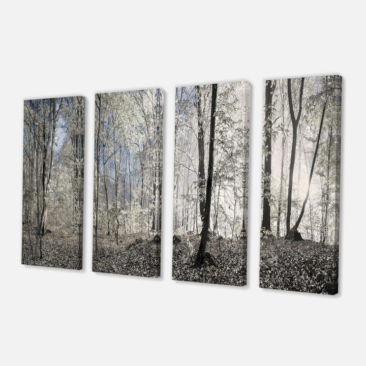 Dark Morning in Forest Panorama Multi-Panels