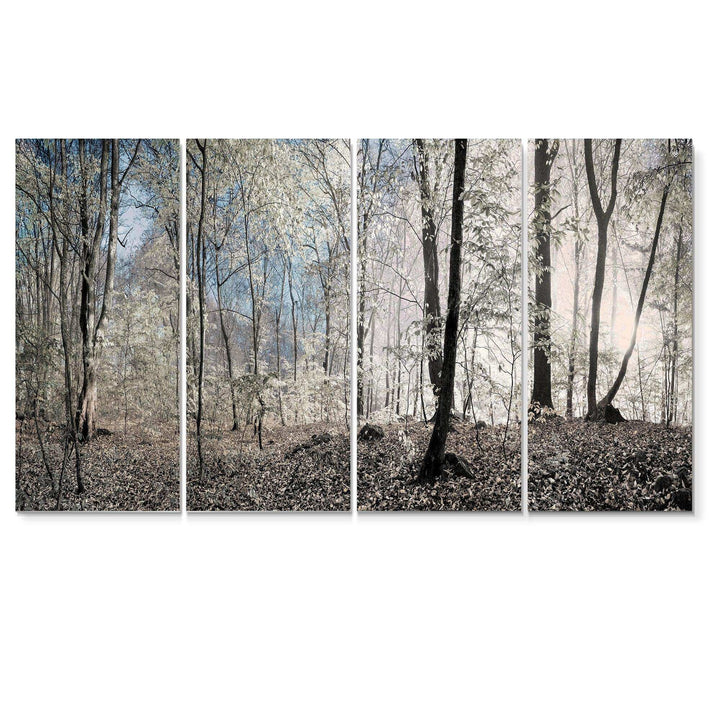 Dark Morning in Forest Panorama Multi-Panels