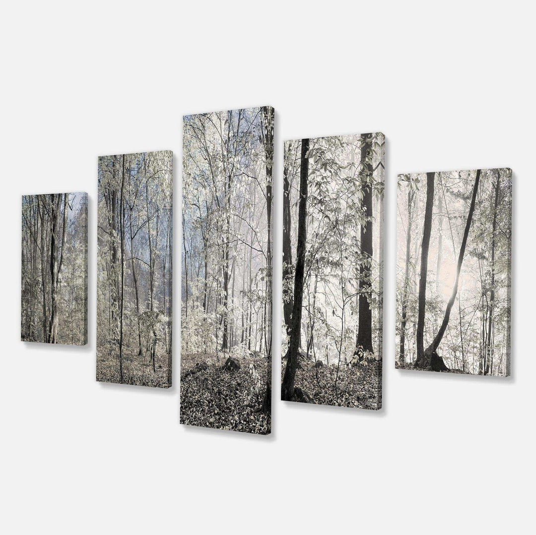 Dark Morning in Forest Panorama Multi-Panels