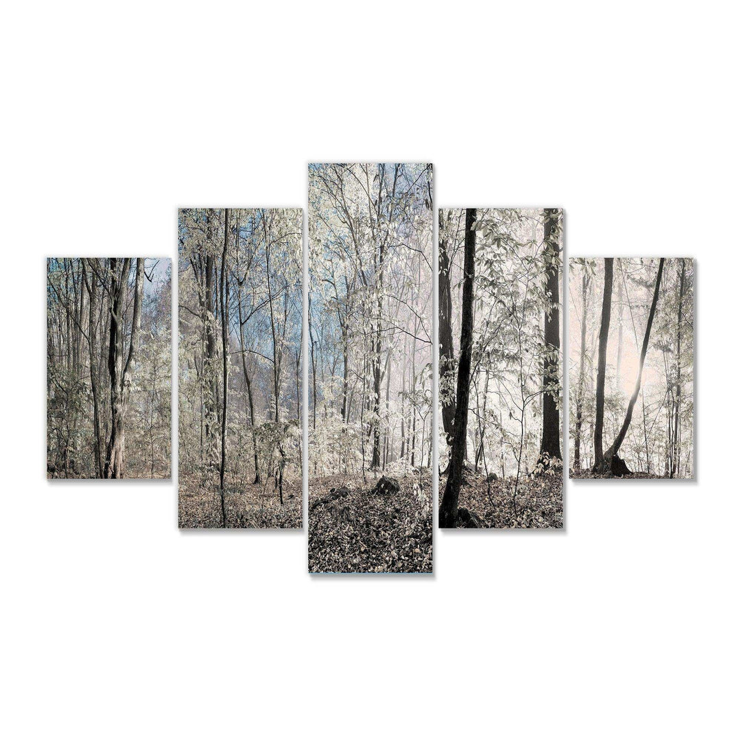 Dark Morning in Forest Panorama Multi-Panels