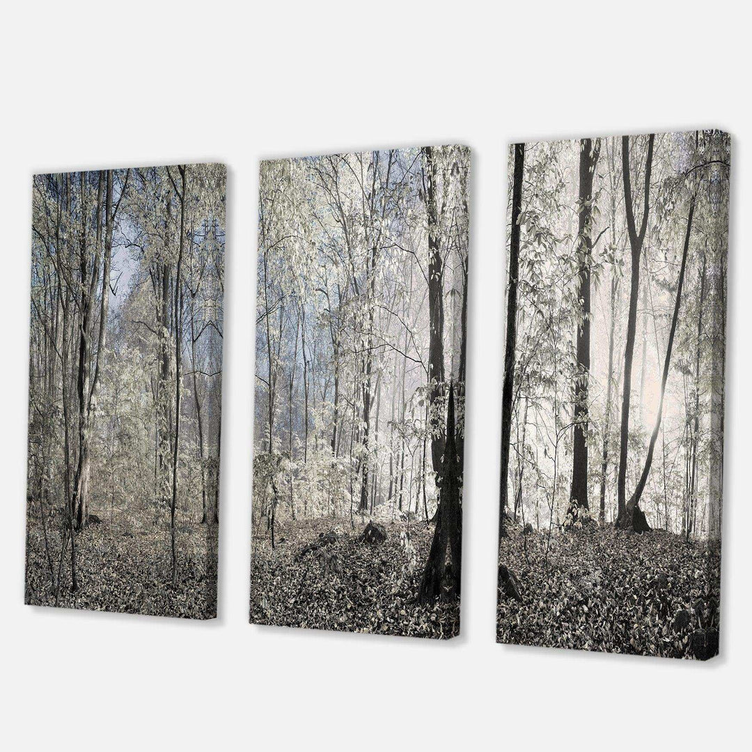 Dark Morning in Forest Panorama Multi-Panels