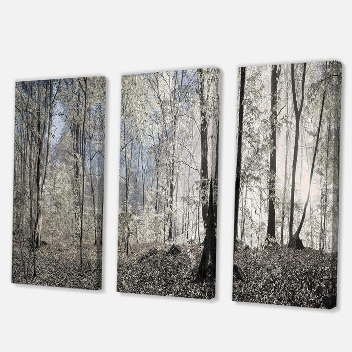 Dark Morning in Forest Panorama Multi-Panels
