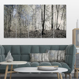 Dark Morning in Forest Panorama Multi-Panels