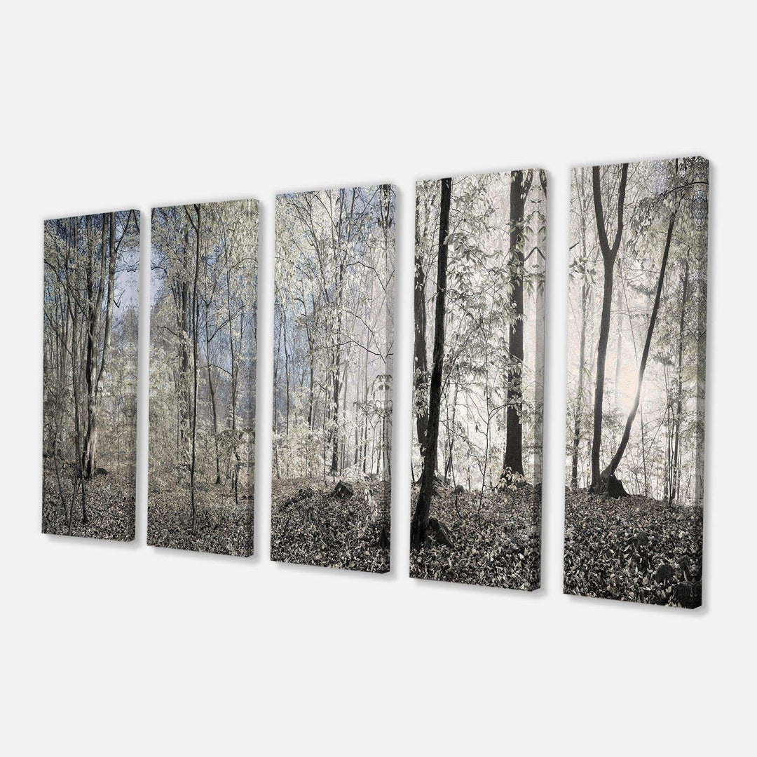 Dark Morning in Forest Panorama Multi-Panels