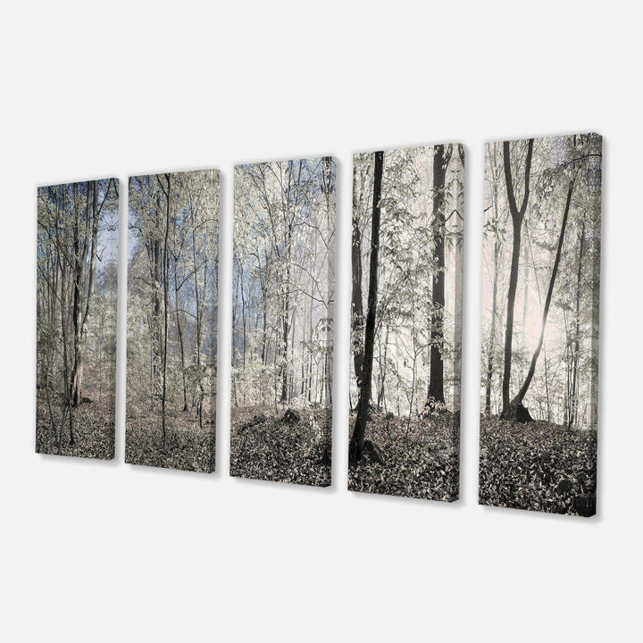 Dark Morning in Forest Panorama Multi-Panels