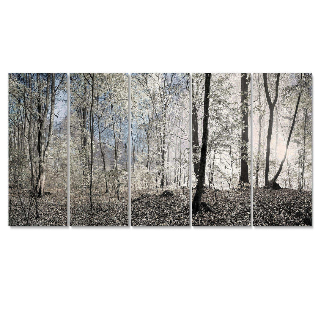 Dark Morning in Forest Panorama Multi-Panels