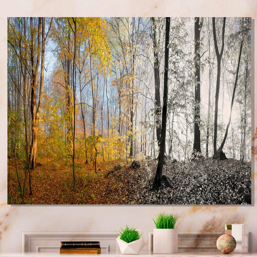Yellow Morning in Forest Panorama