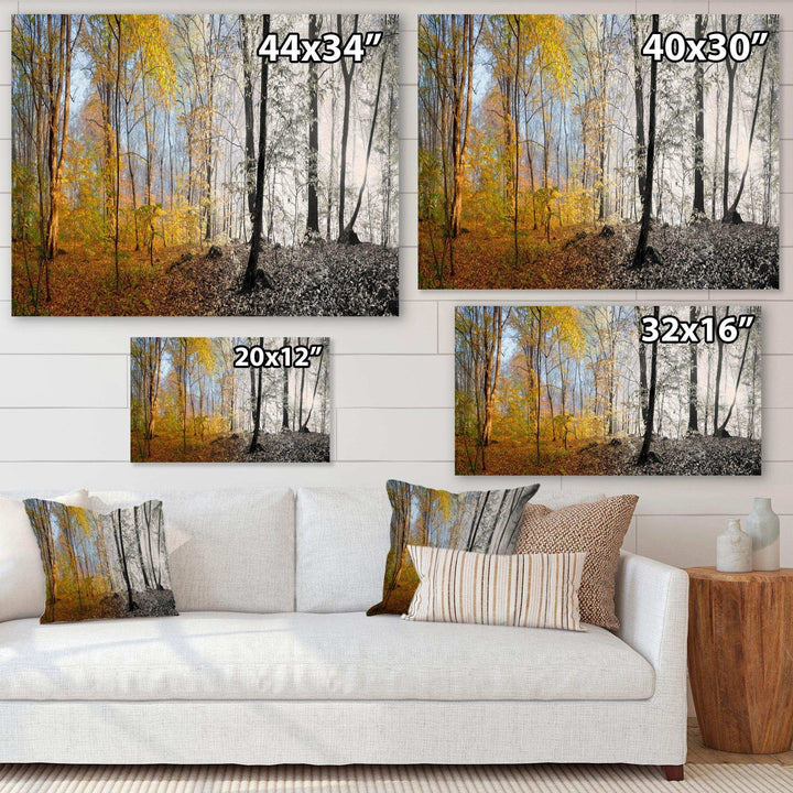 Yellow Morning in Forest Panorama