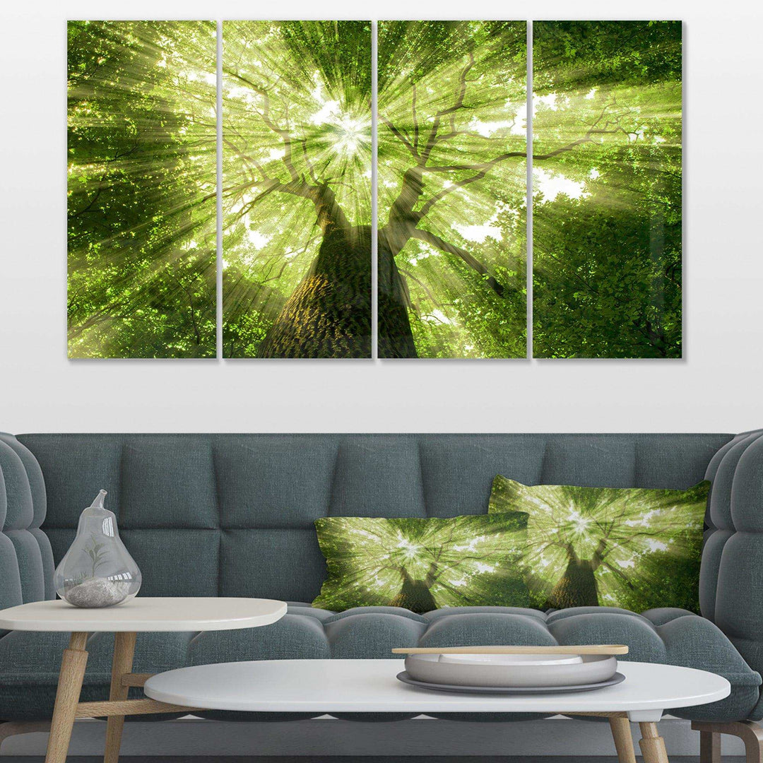 Sunlight Peeking through Green Tree Multi-Panels