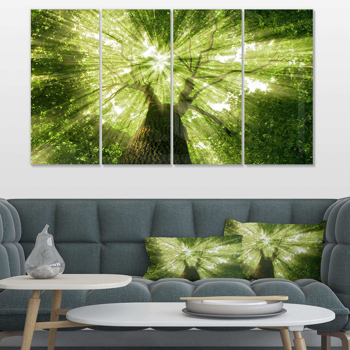 Sunlight Peeking through Green Tree Multi-Panels