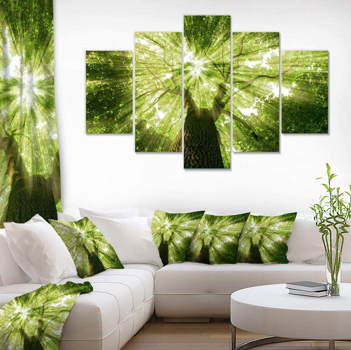 Sunlight Peeking through Green Tree Multi-Panels