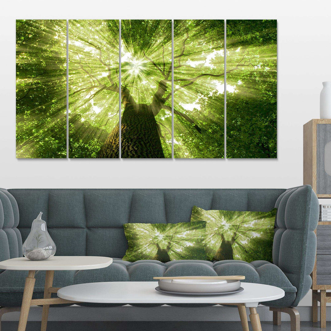 Sunlight Peeking through Green Tree Multi-Panels